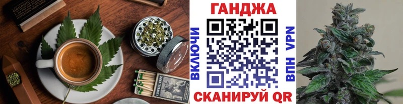 где купить   Ершов  Cannafood конопля 