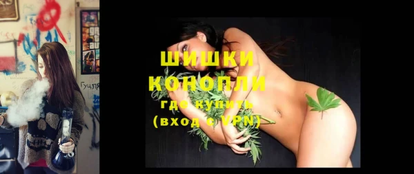 шишки Балахна