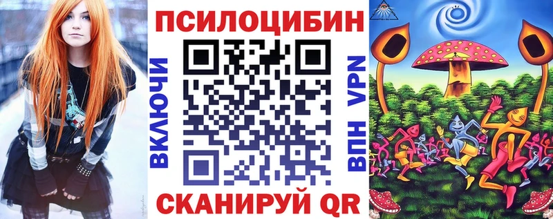 купить  цена  Ершов  Псилоцибиновые грибы прущие грибы 