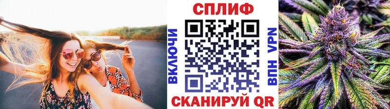 Конопля планчик  Ершов 